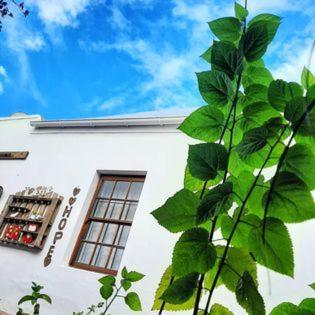 Worcester Gallery Cottage Dış mekan fotoğraf